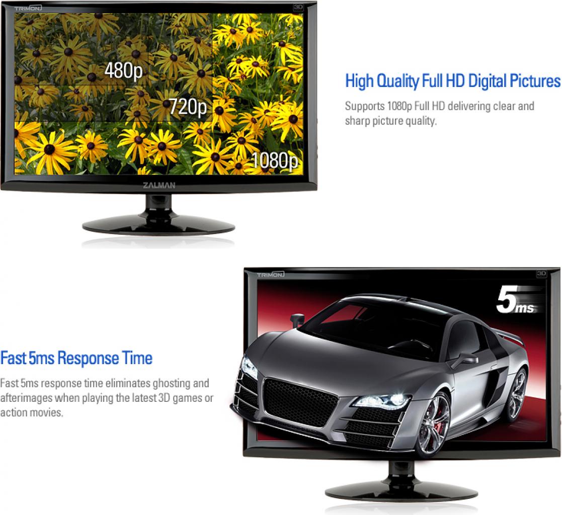 [26/03/2010] Zalman ZM-M215W (9)