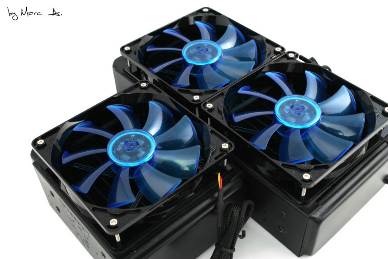 [19/03/2010] Casemod-Projekt Black meets Blue: Klasse Bilder, edles Aussehen (21)