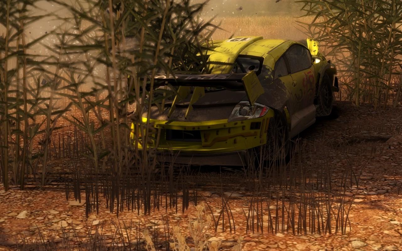 [01/04/2010] 2009: Dirt 2