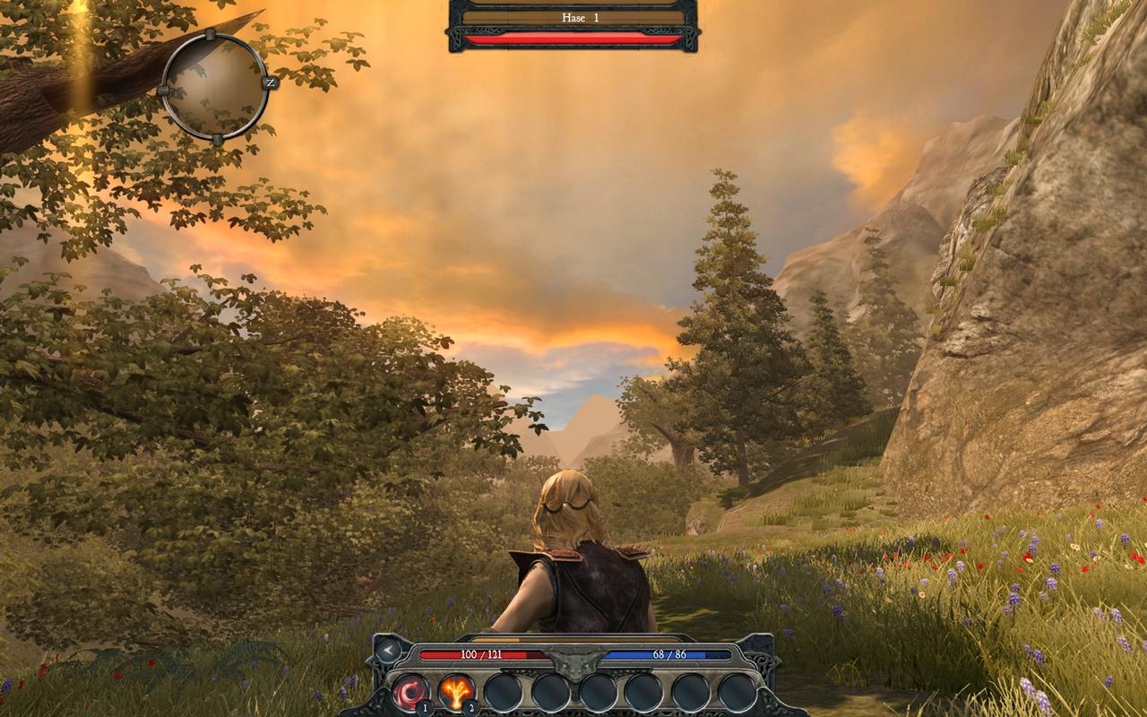 [08/04/2010] 2009: Divinity 2 (Der Himmel ist ganz nett geworden)