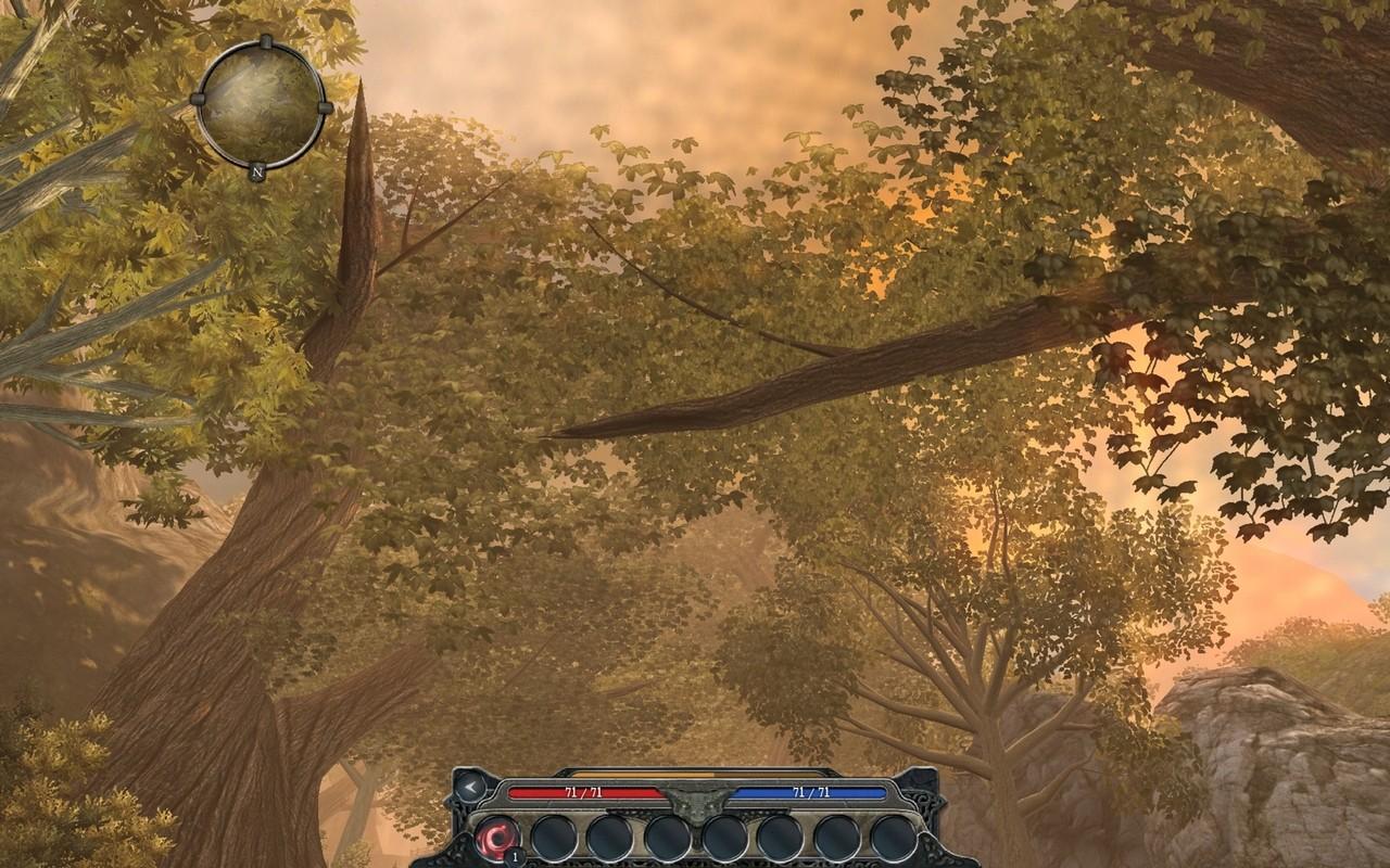 [01/04/2010] 2009: Divinity 2 (87)