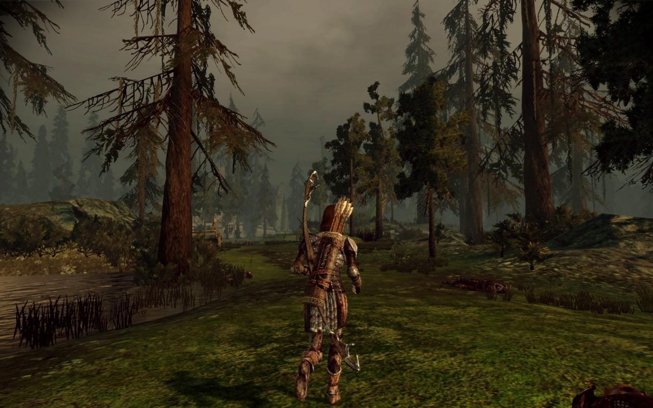 [01/04/2010] 2009: Dragon Age Origins