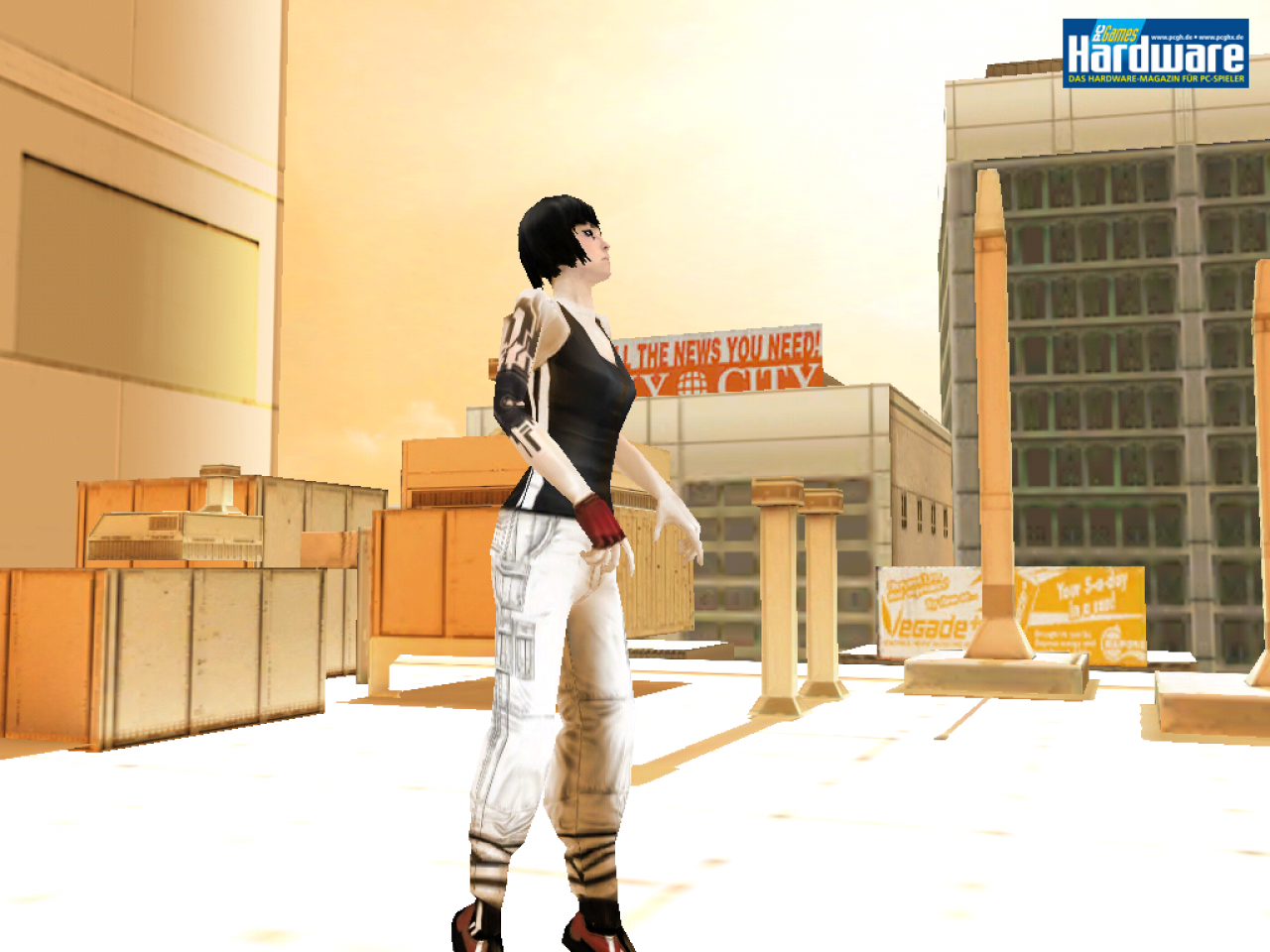 [12/04/2010] Mirror's Edge für das Ipad