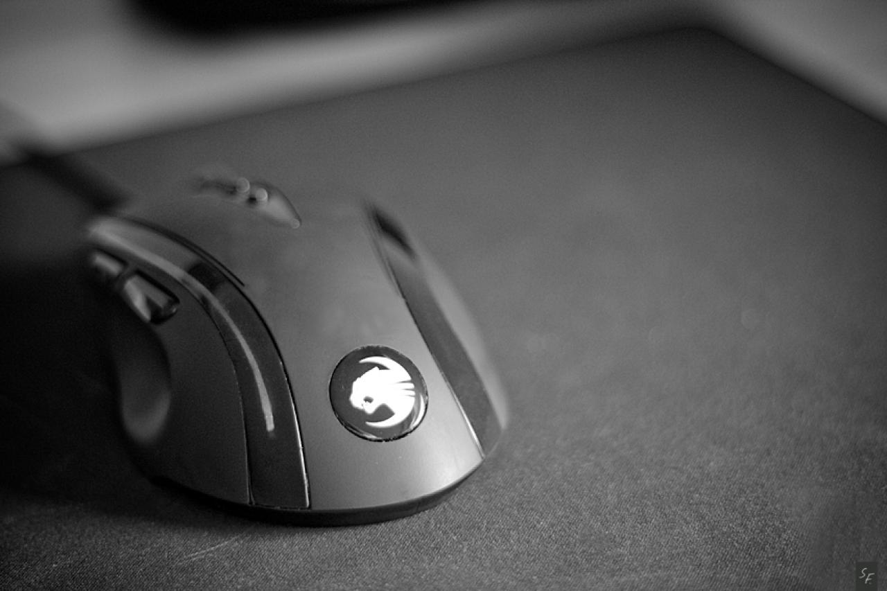 [03/04/2010] Die Eingabegeräte der PCGHX-Community: 23 neue Bilder (11)