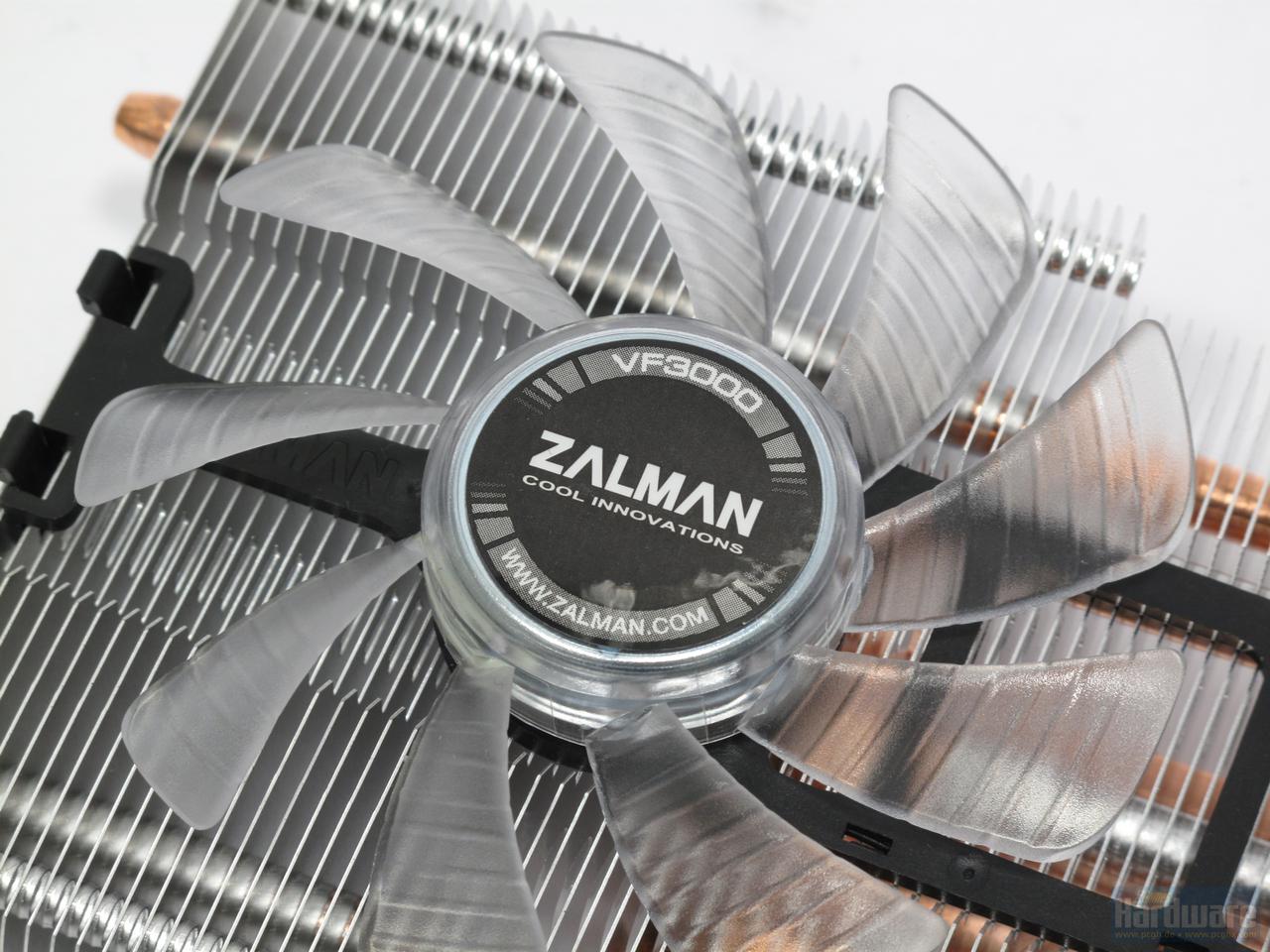 [12/04/2010] Zalman VF3000N (8)