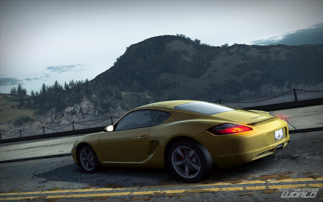 [14/05/2010] Platz 14: Need for Speed World 2 Votes;	0,45%