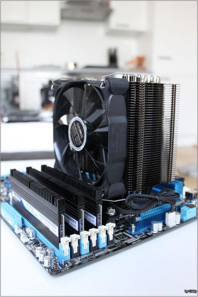 [07/05/2010] Stilsicheres Casemod-Projekt: Performance meets Design (147)