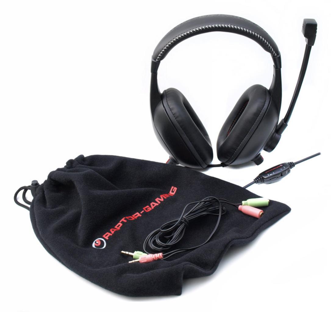 [10/05/2010] Raptor Gaming H3 (1)