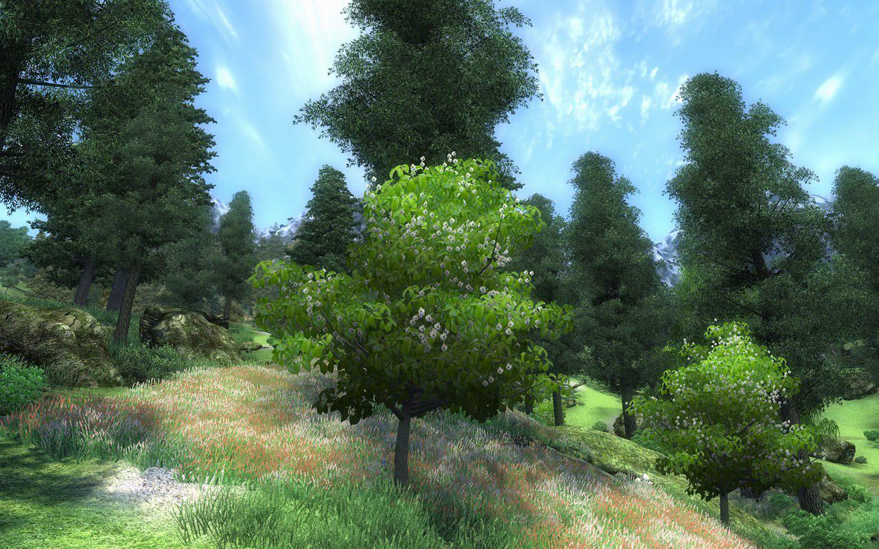 [31/05/2010] Oblivion by Ex3cut3r (10)