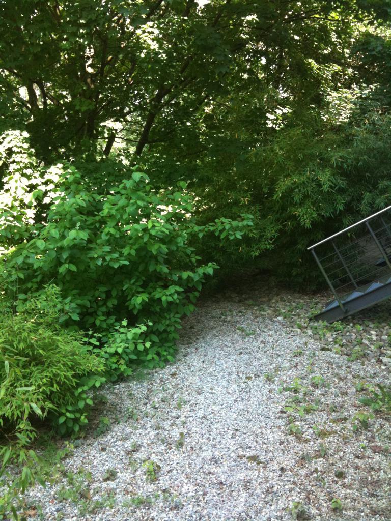 Testbild auf dem 3GS.