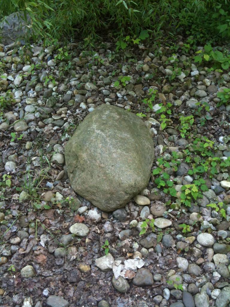 Testbild auf dem 3GS.