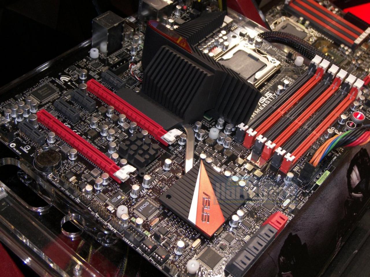 [01/06/2010] Asus Immensity 02