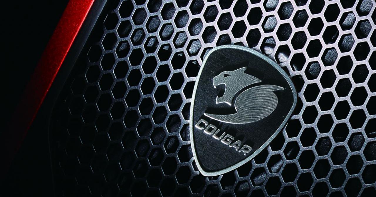 [01/06/2010] COUGAR CMX-4
