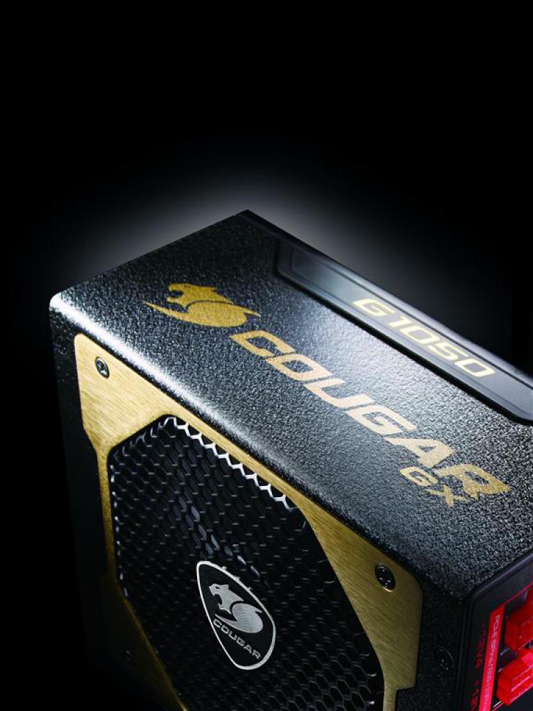 [01/06/2010] COUGAR GX-1