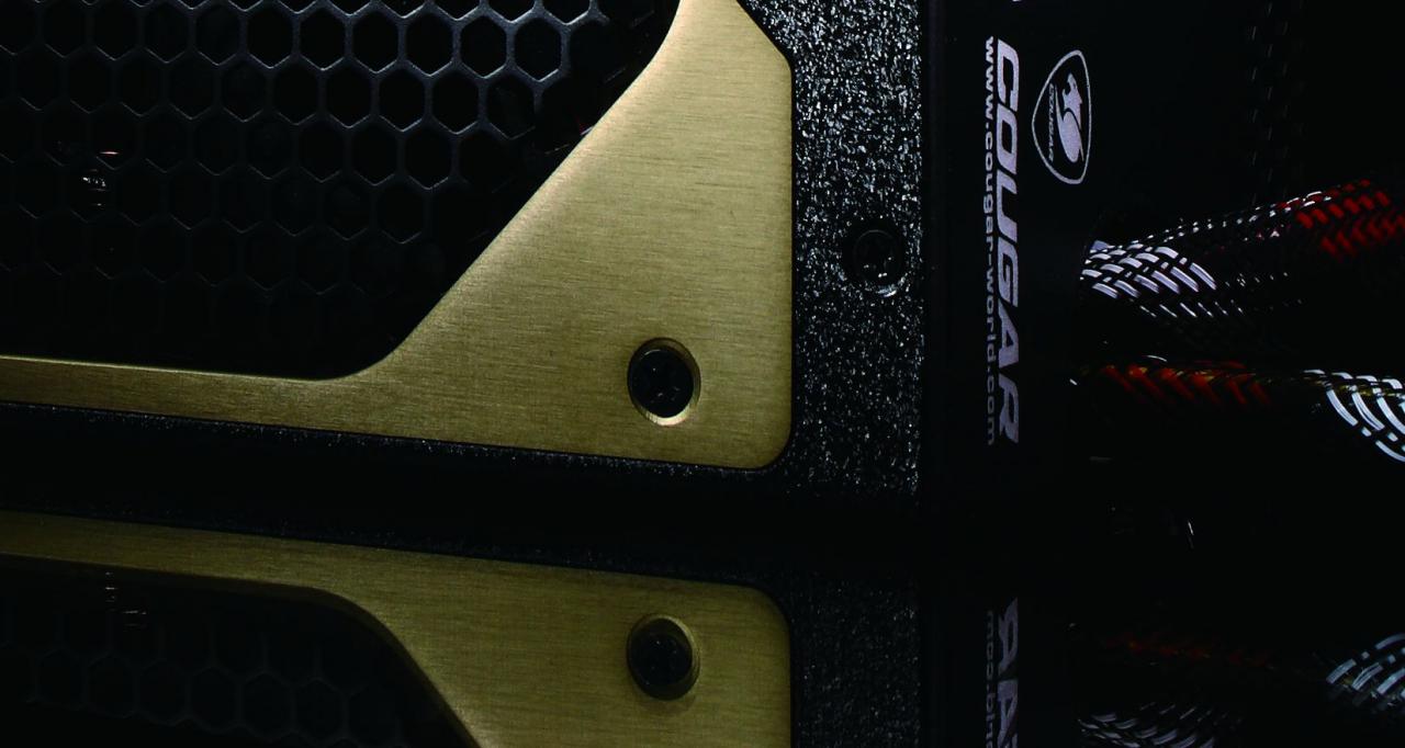 [01/06/2010] COUGAR GX-2