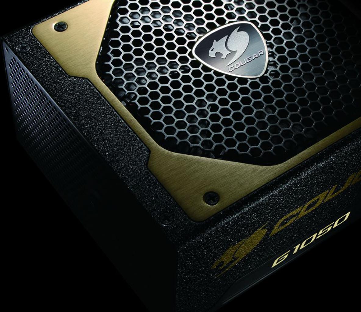 [01/06/2010] COUGAR GX-4