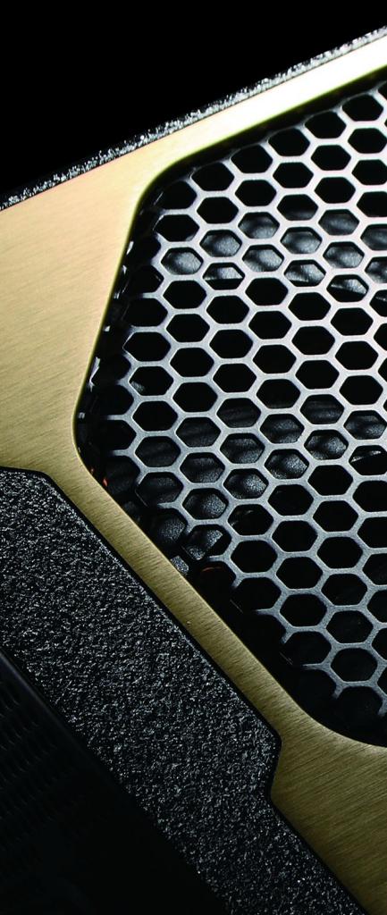 [01/06/2010] COUGAR GX-6