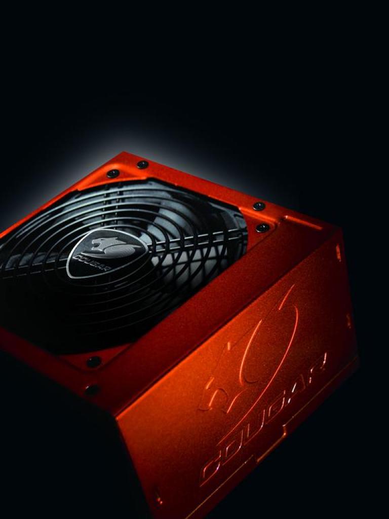 [01/06/2010] COUGAR POWERX-1