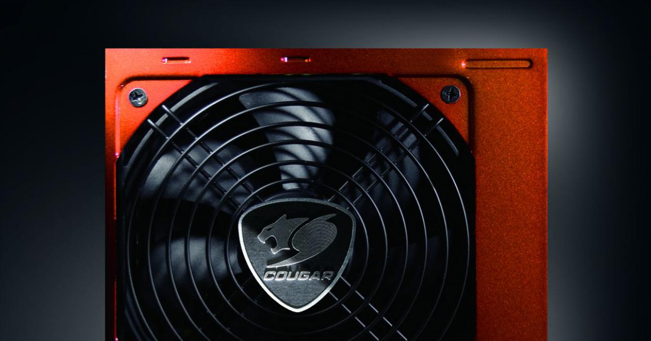 [01/06/2010] COUGAR POWERX-2