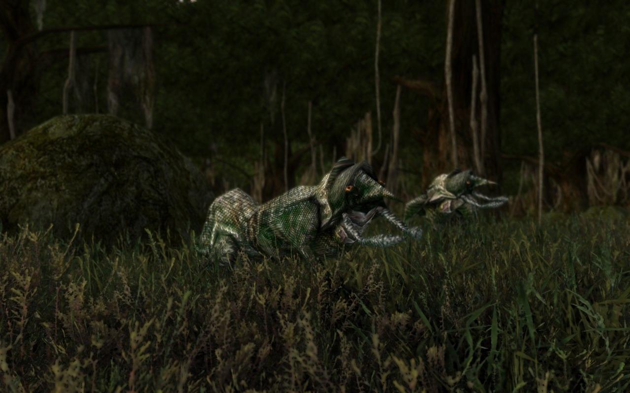 [21/06/2010] Morrowind mit Mods by BlackF0g (4)