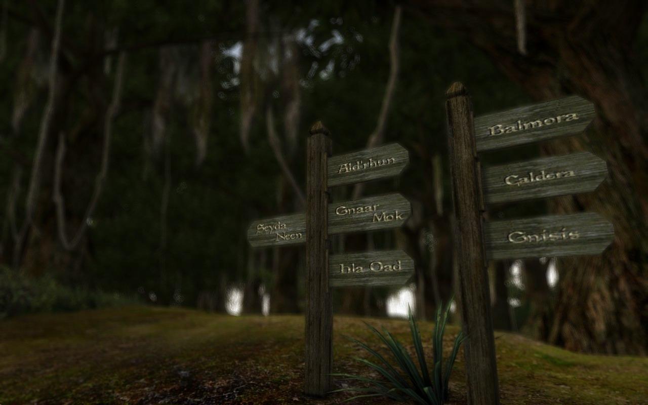 [21/06/2010] Morrowind mit Mods by BlackF0g (7)