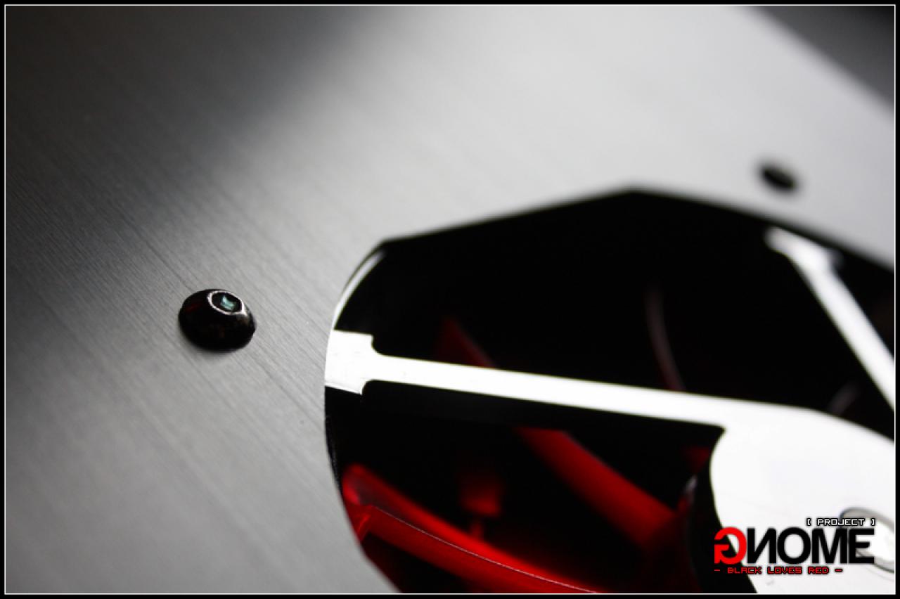 [18/06/2010] Black loves Red - Update (17)