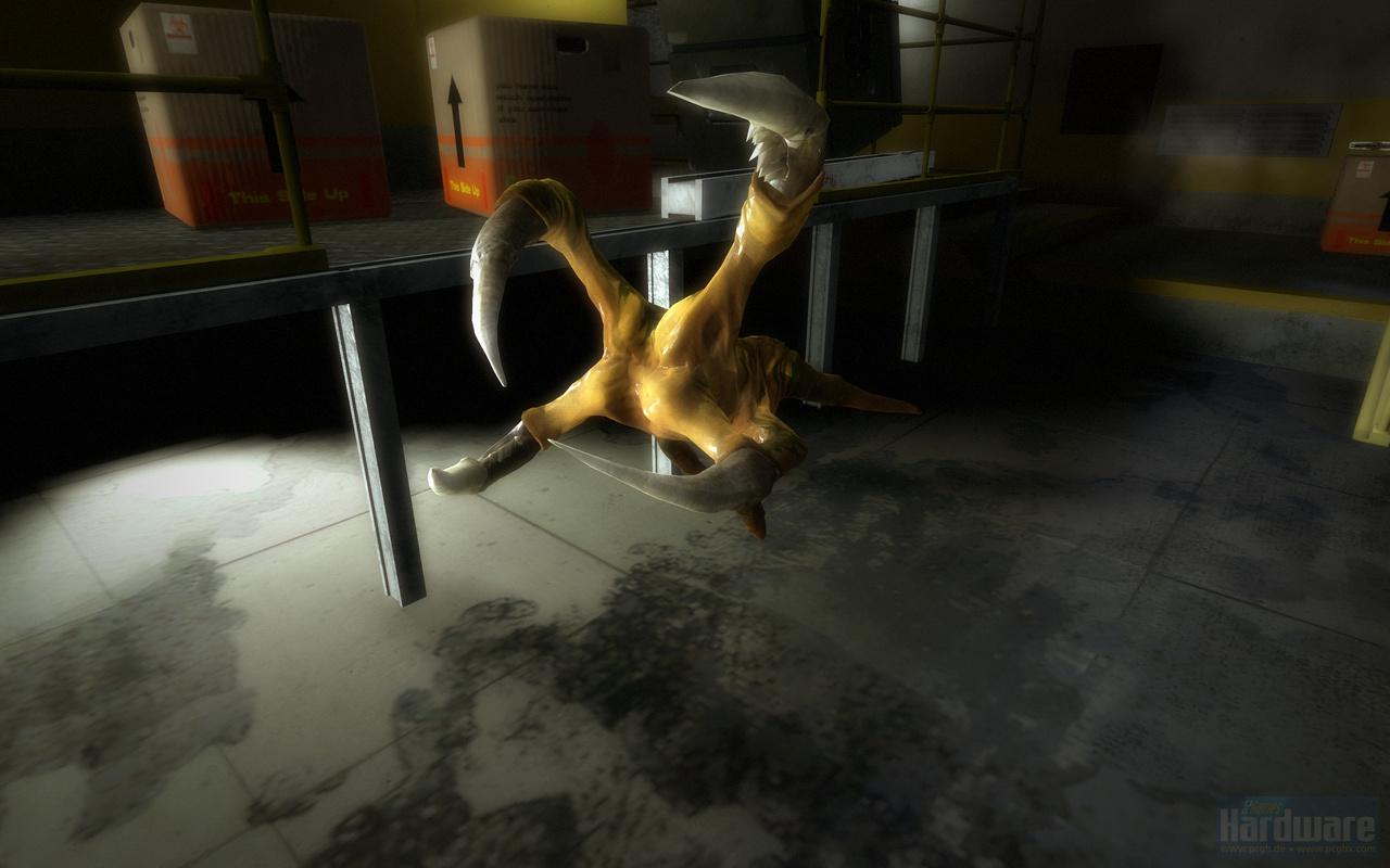 [23/07/2010] Alien Swarm (10)