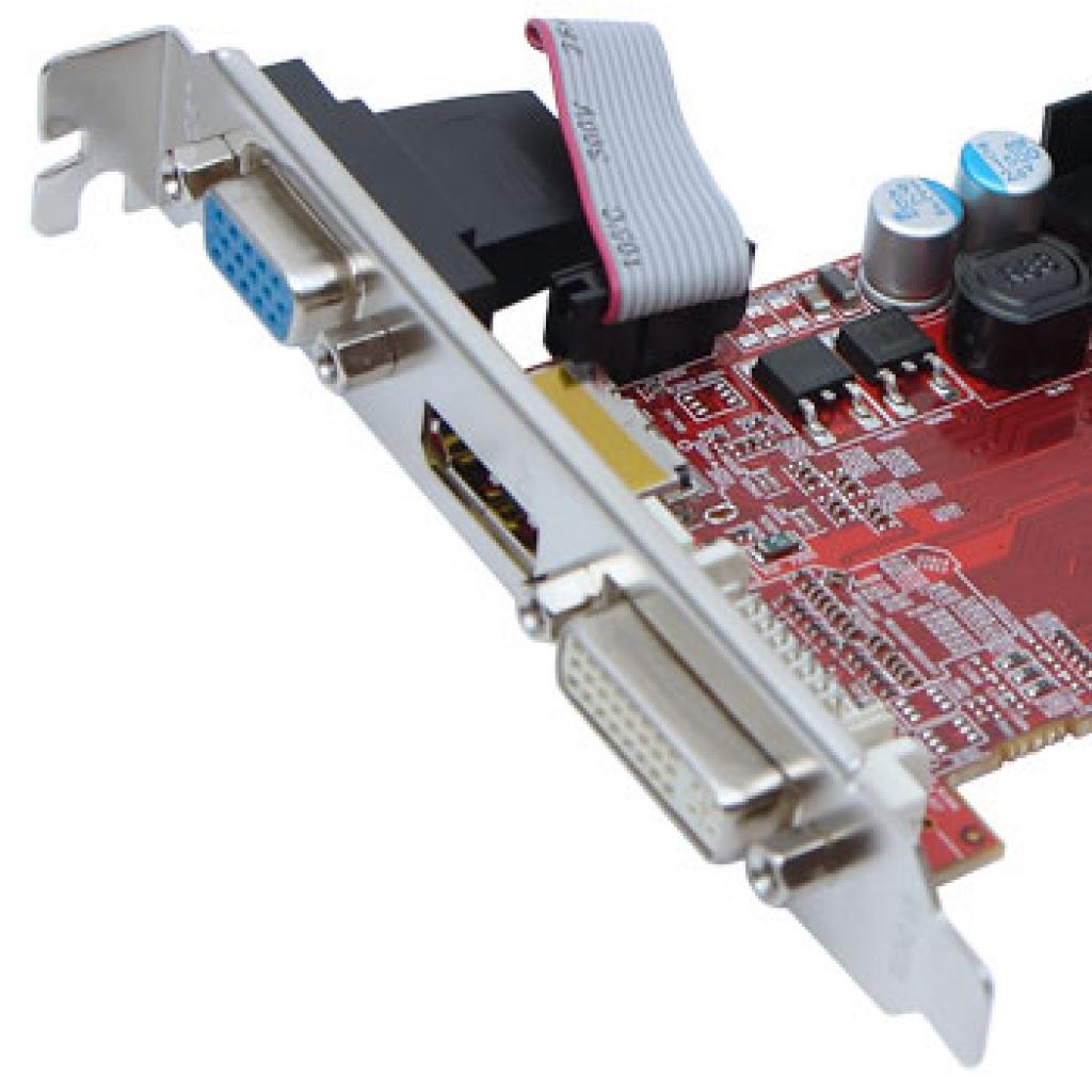 [08/07/2010] Club3D Radeon HD 5450 Eyefinity 3 Edition (3)