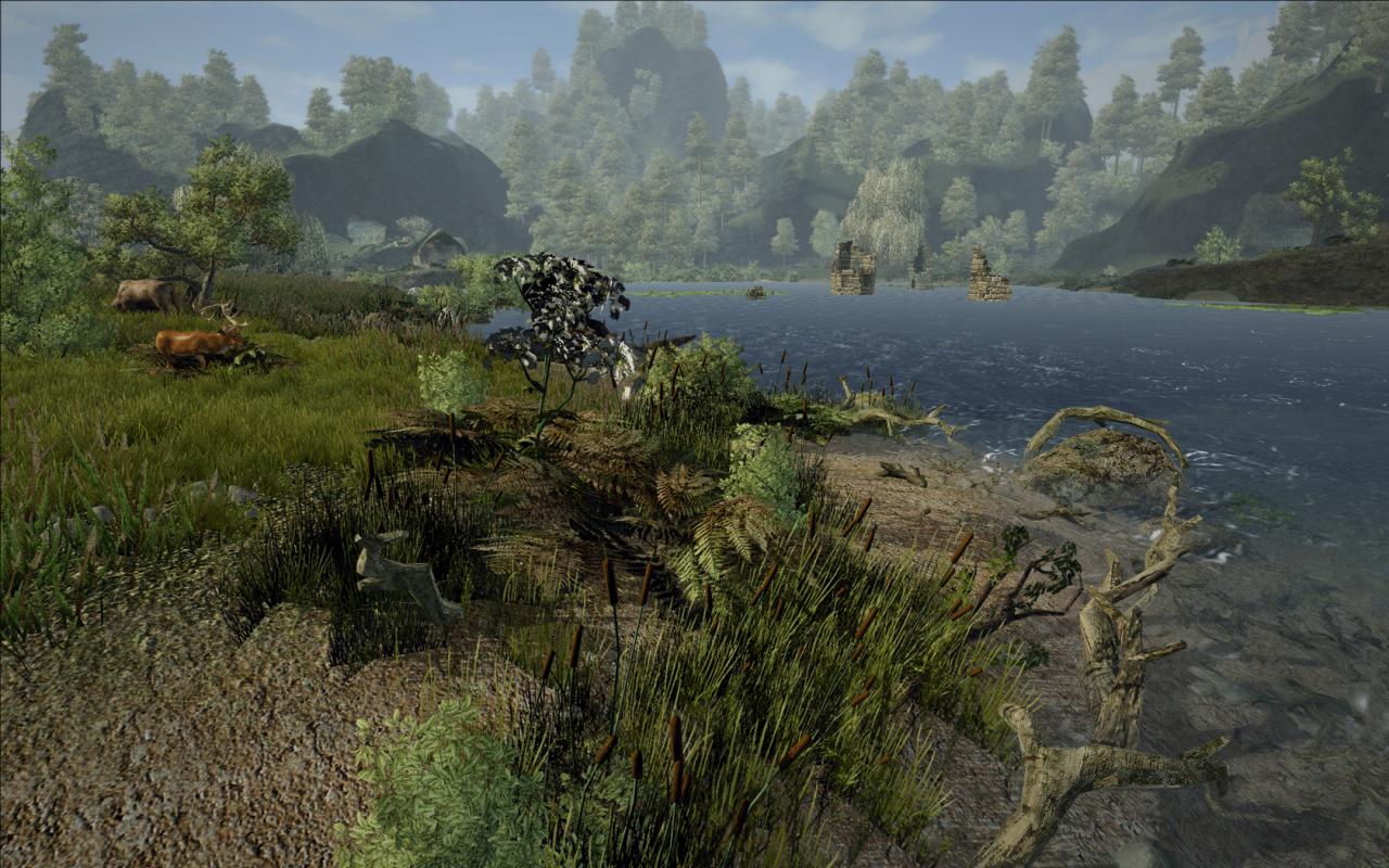 [02/07/2010] Gothic III (14)