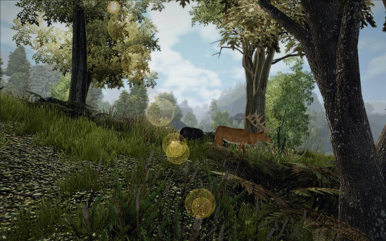 [02/07/2010] Gothic III (16)