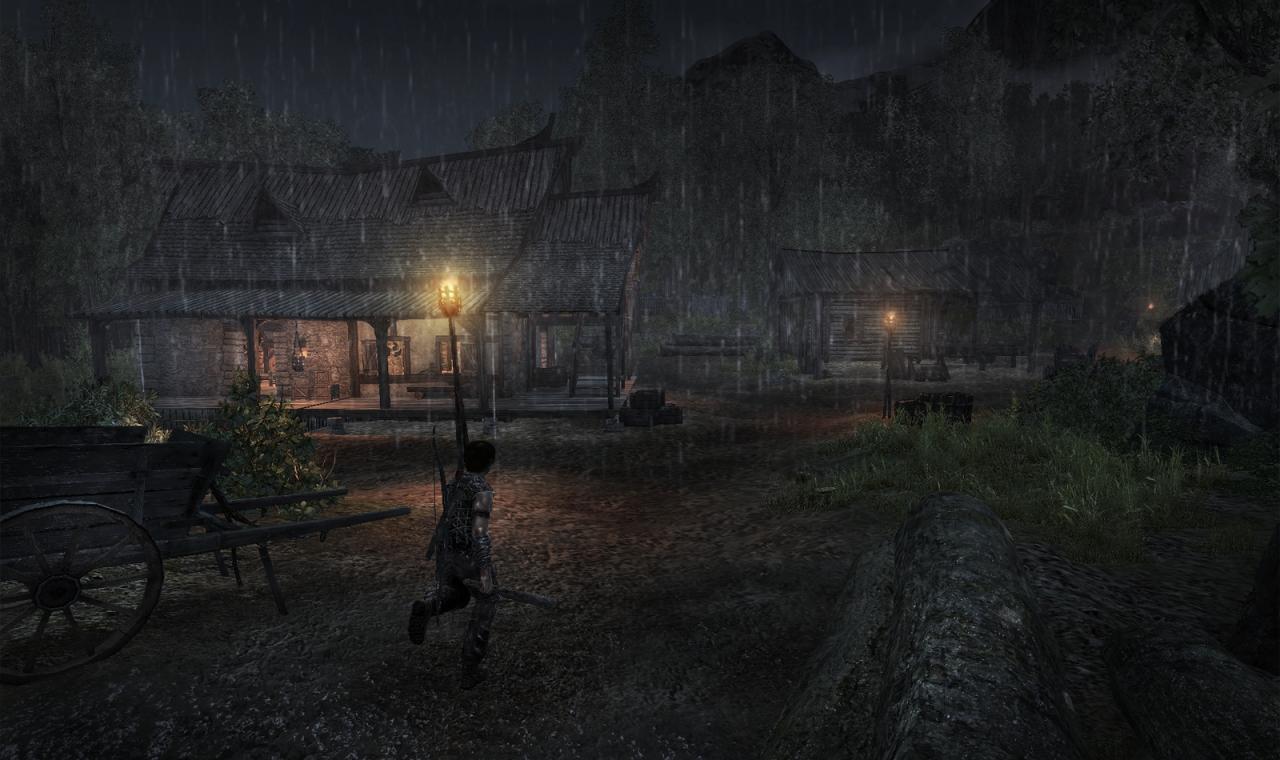 [11/07/2010] Gothic 4 - Arcania (8)