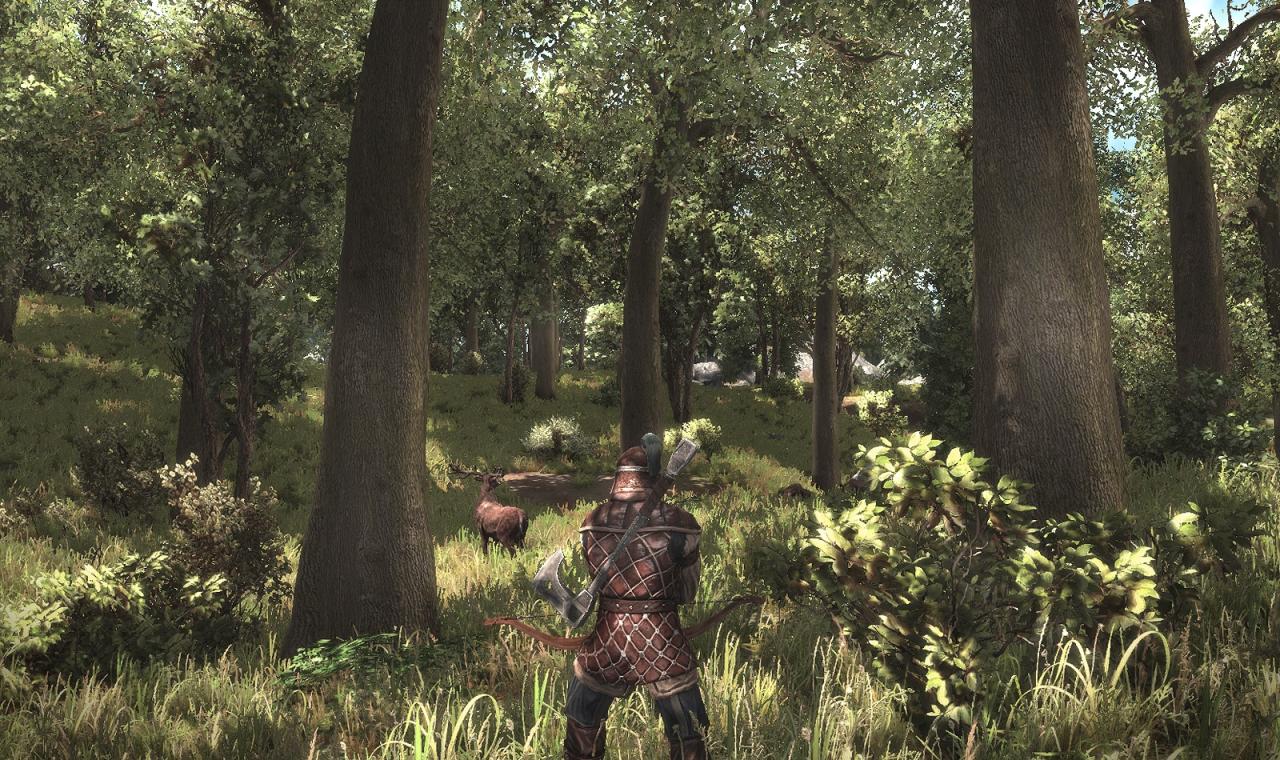 [11/07/2010] Gothic 4 - Arcania (15)