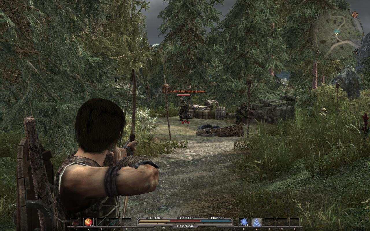 [11/07/2010] Gothic 4 - Arcania (23)