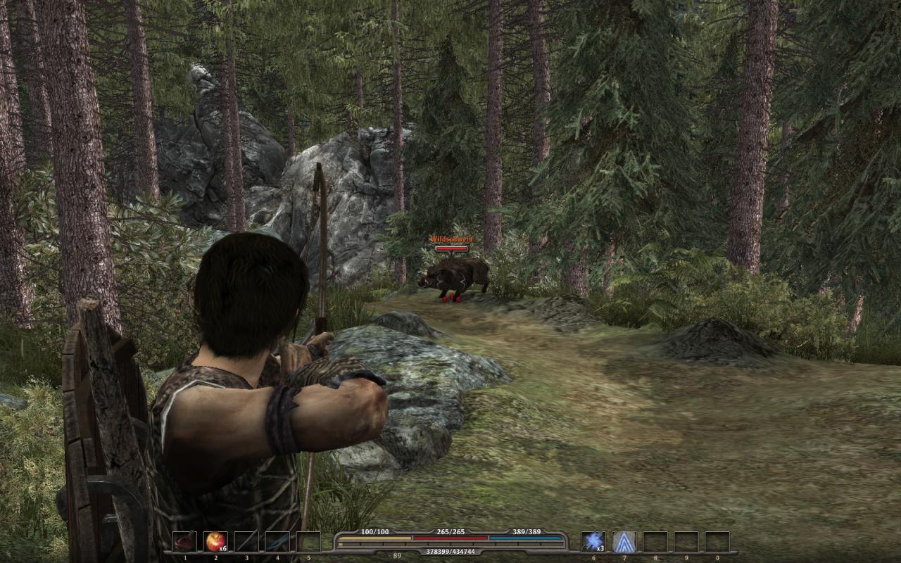 [11/07/2010] Gothic 4 - Arcania (24)