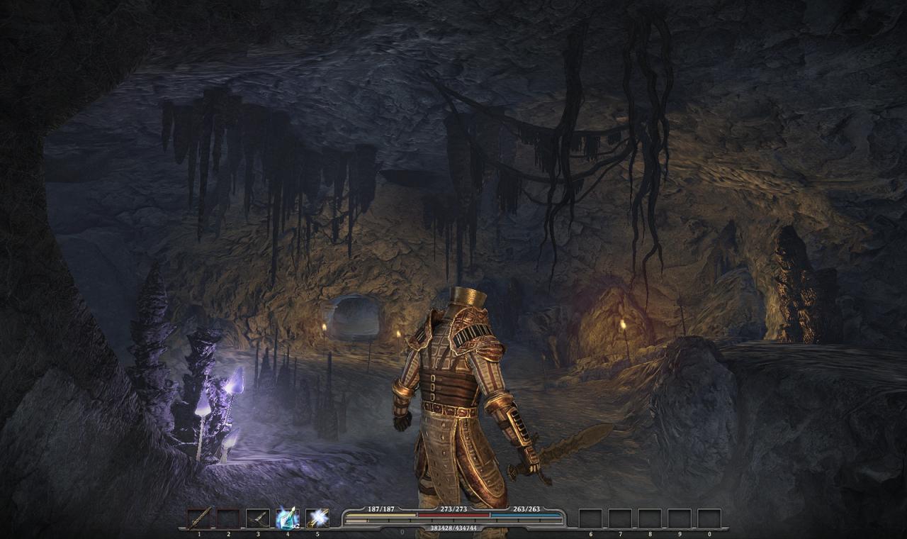 [11/07/2010] Gothic 4 - Arcania (25)