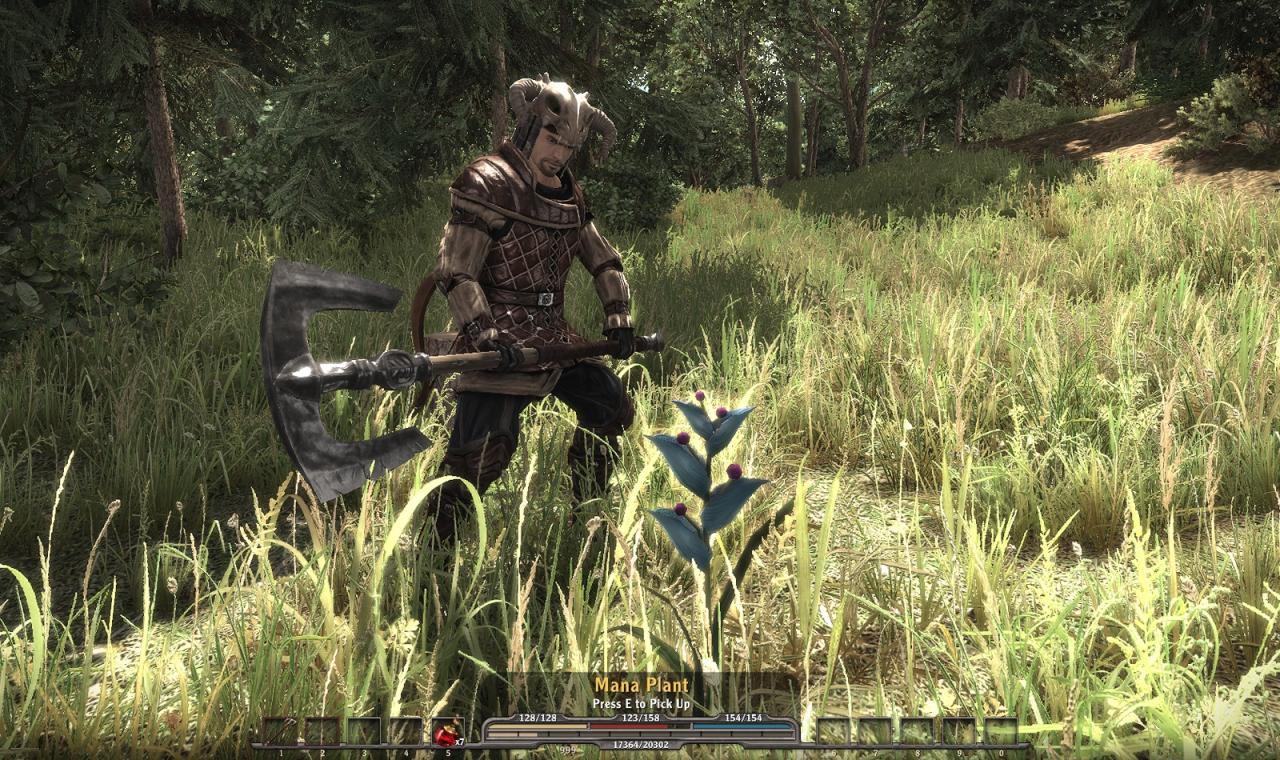 [11/07/2010] Gothic 4 - Arcania (29)