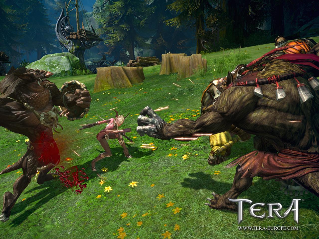 [20/07/2010] Tera: MMORPG mit neuen Screenhots und Trailer (2)