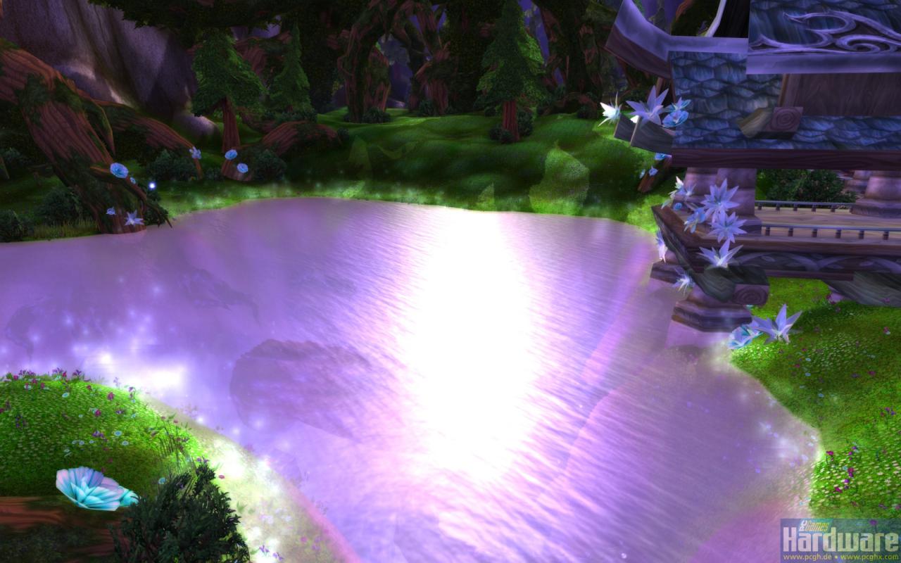 [07/07/2010] WoW Cataclysm Beta: Hübsche Spiegelungen auf dem neuen Pixelshader-Wasser in Hyjal, einer neuen Welt #2.