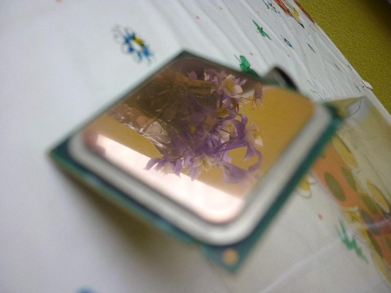 [30/07/2010] CPUs der Community - Update (39)