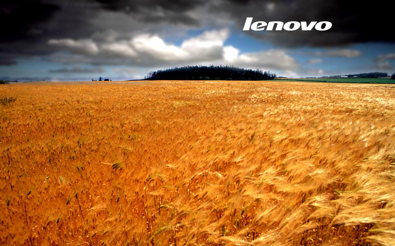 [12/07/2010] Lenovo ab Weihnachten auch bei Media Markt/Saturn