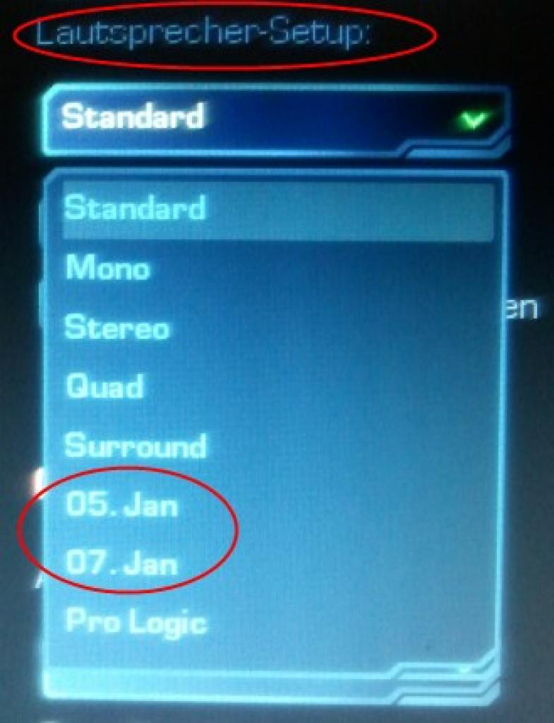 [27/07/2010] FLOP: Hat mit Grafik nur bedingt zu tun, aber solche Technik-Fails wie dieses maschinell übersetzte Soundmenü hat Blizzard nicht nötig.