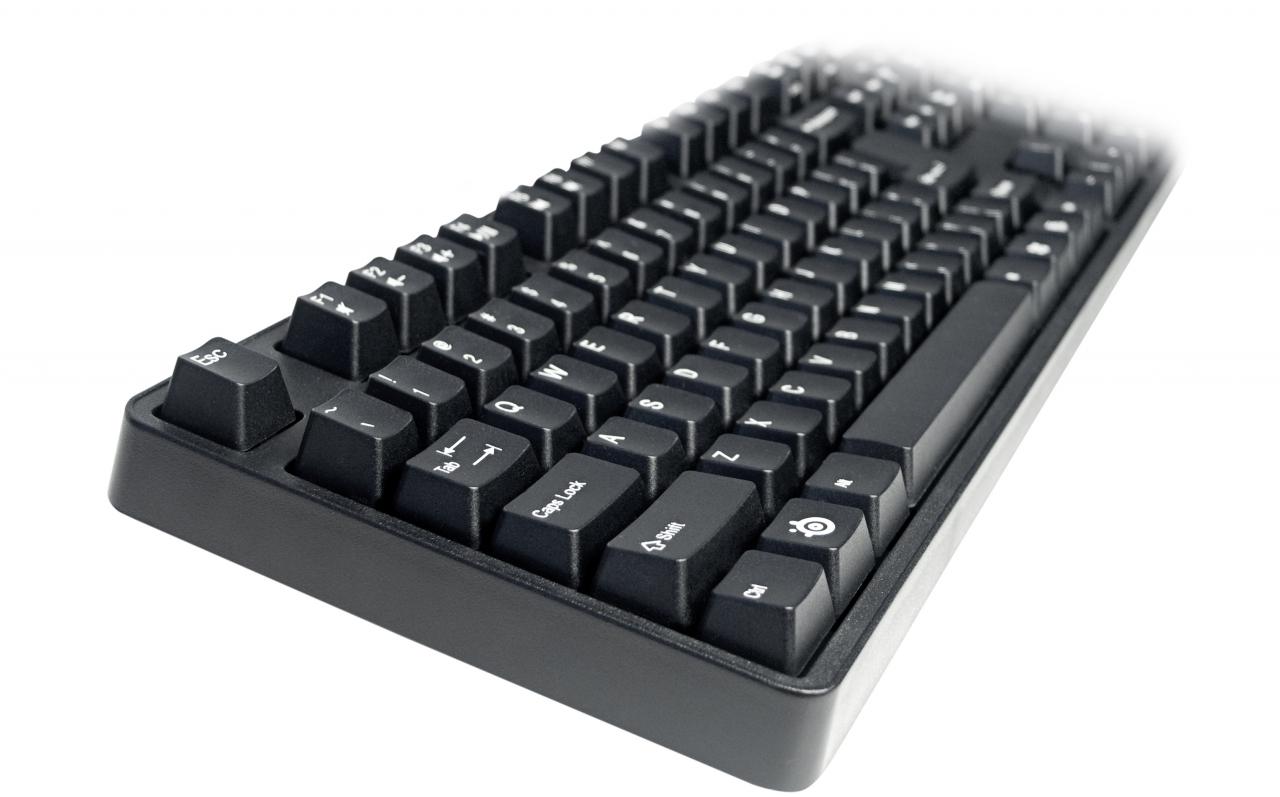 [18/08/2010] Steelseries 6Gv2 (2)