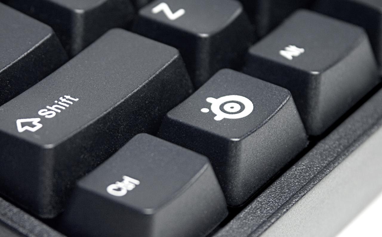 [18/08/2010] Steelseries 6Gv2 (4)