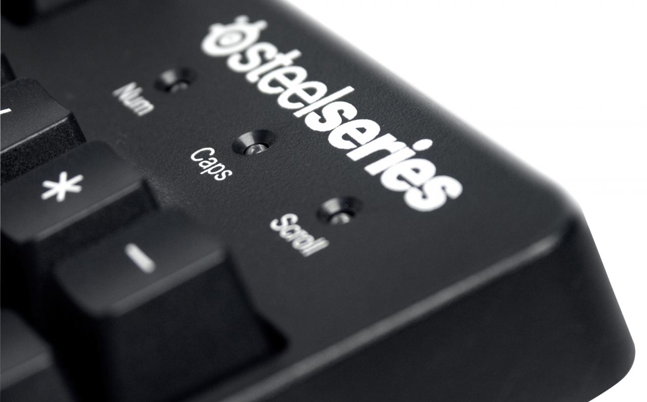 [18/08/2010] Steelseries 6Gv2 (6)