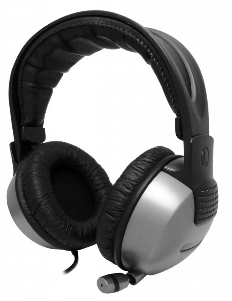 [06/08/2010] Arctic Sound P301 (14)