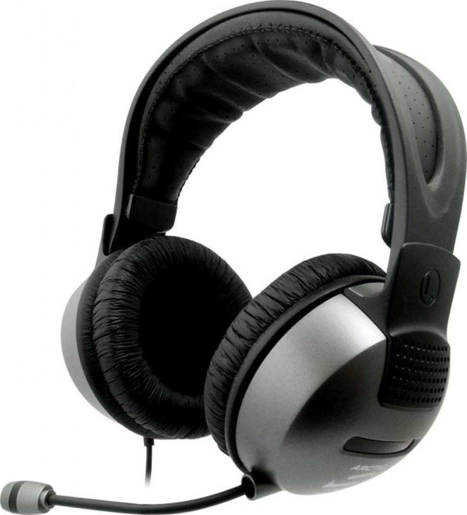 [06/08/2010] Arctic Sound P301 (15)