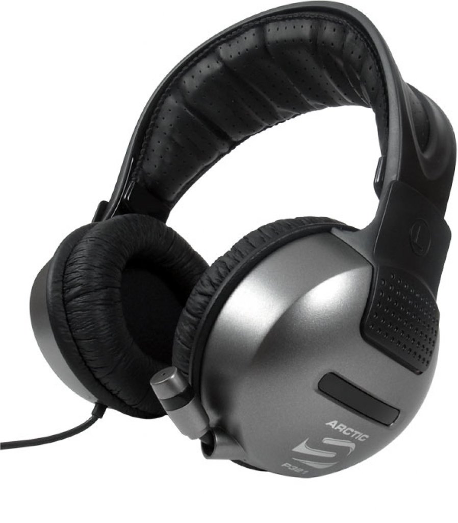 [06/08/2010] Arctic Sound P321 (17)