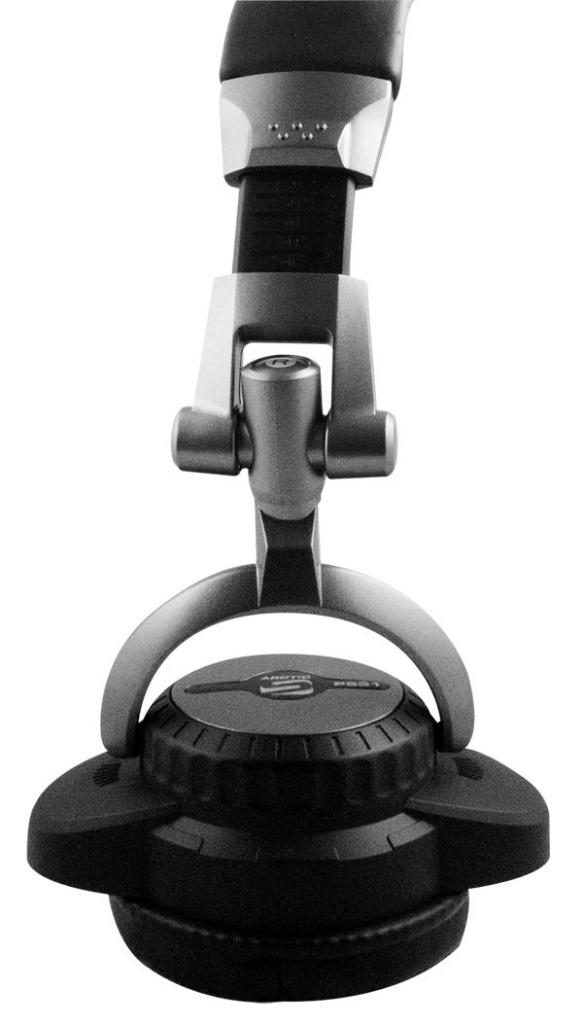 [06/08/2010] Arctic Sound P531 (21)