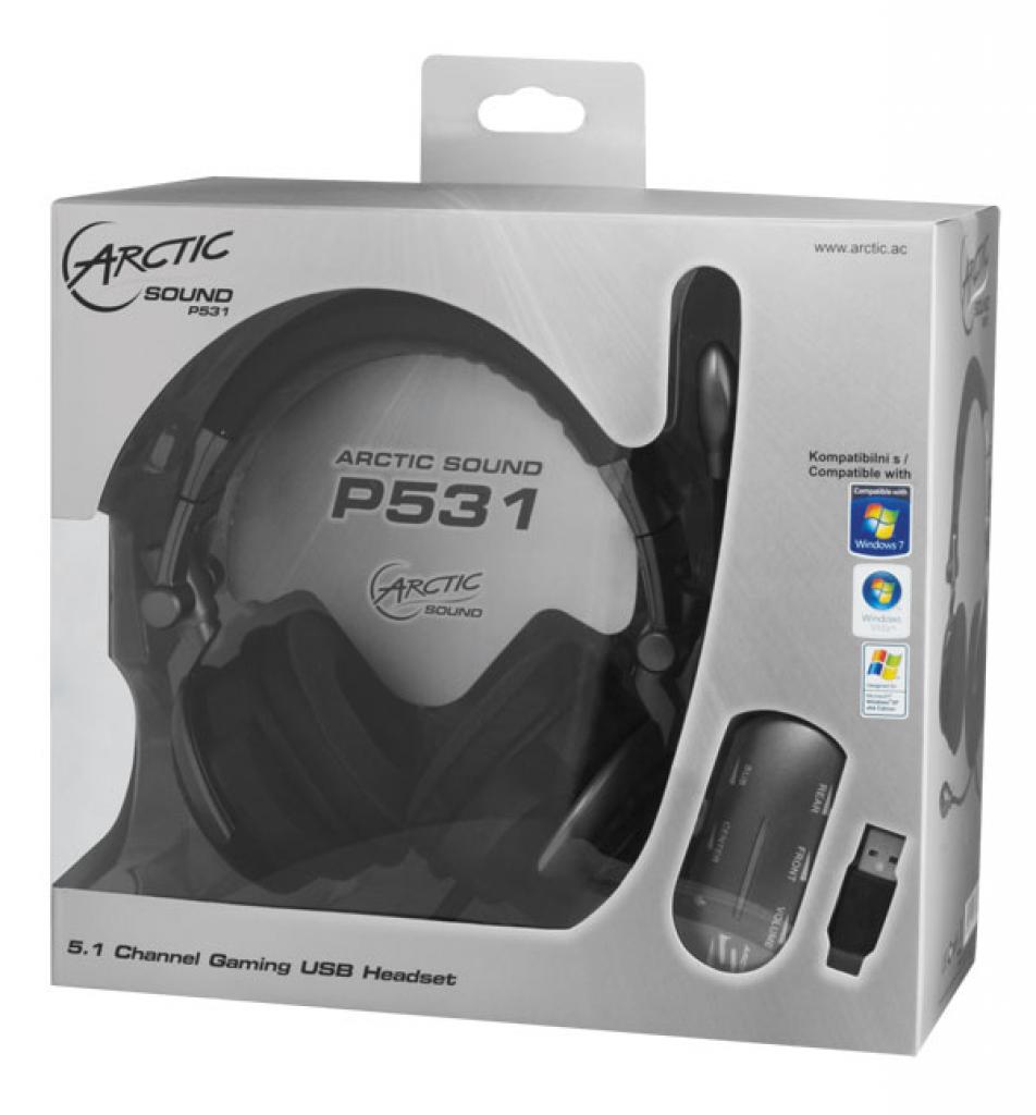 [06/08/2010] Arctic Sound P531 (22)