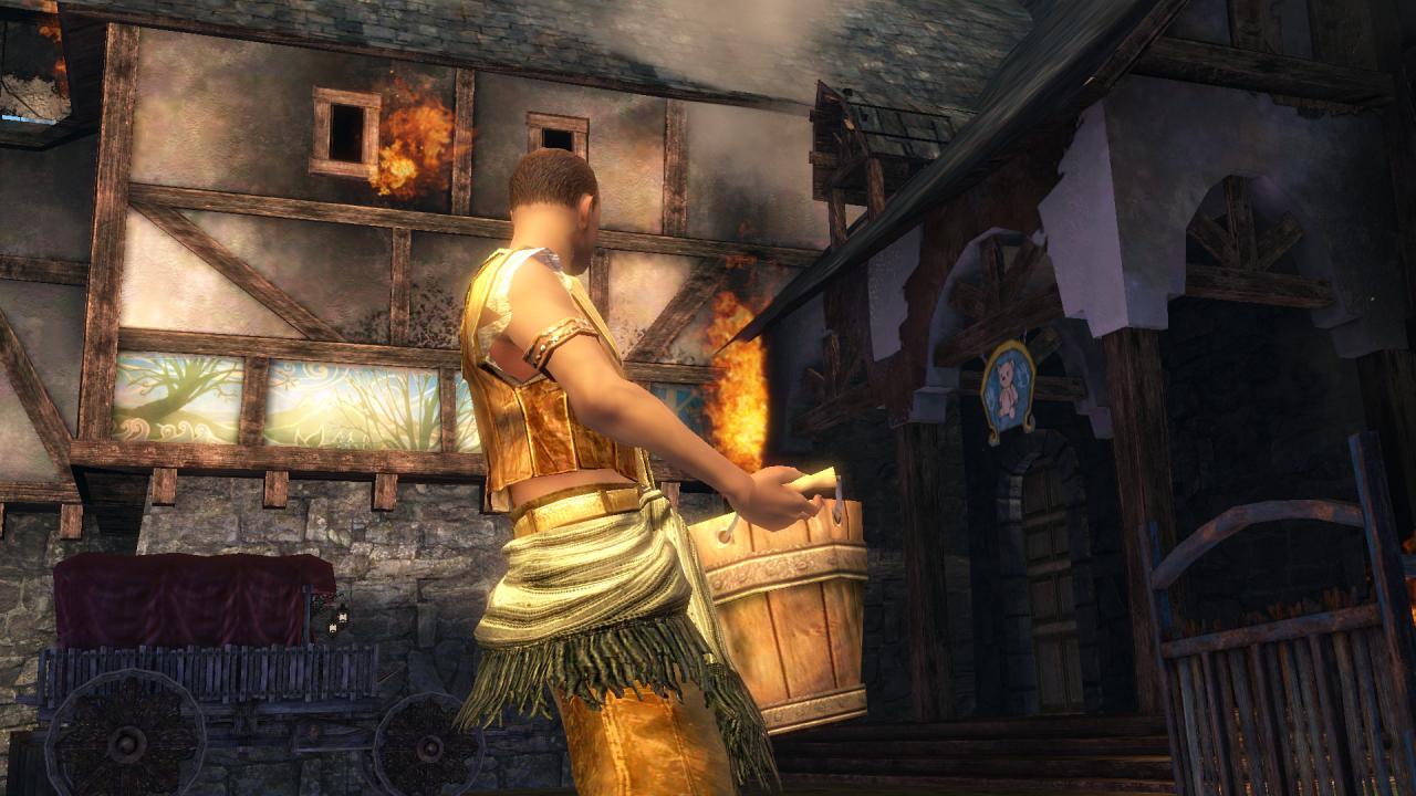 [20/08/2010] Gamescom 2010: Guild Wars 2 (29)